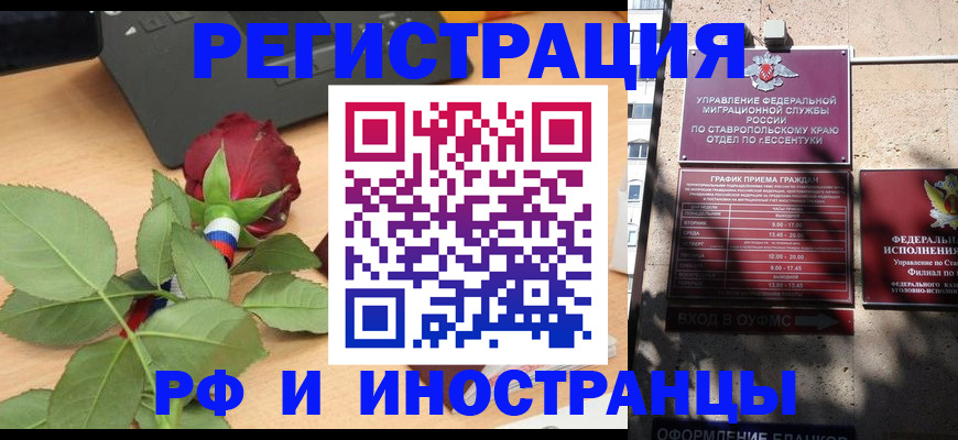 найти адрес прописки в Электрогорске